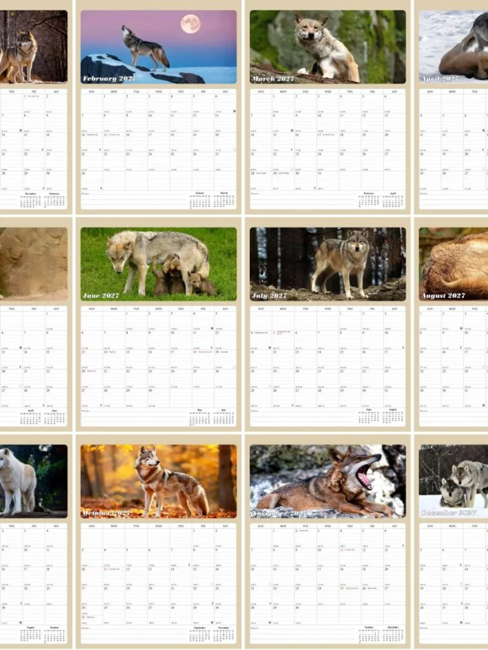 2027 Calendar Magnetic Peel & Stick 12 Months 8.5